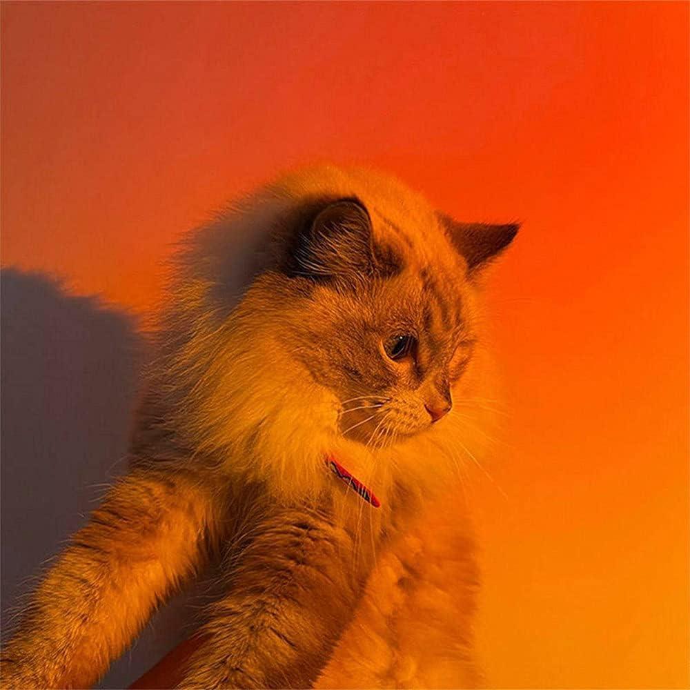 Glowzy™ Sunset Lamp